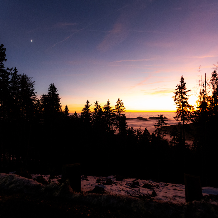Nur für die Besten: Das G-Klasse Abenteuer Graz-Sotschi. Erlebe erstklassigen 4x4 Luxus im Bayerischen Wald. Das ultimative Event für Mercedes-Besitzer.
