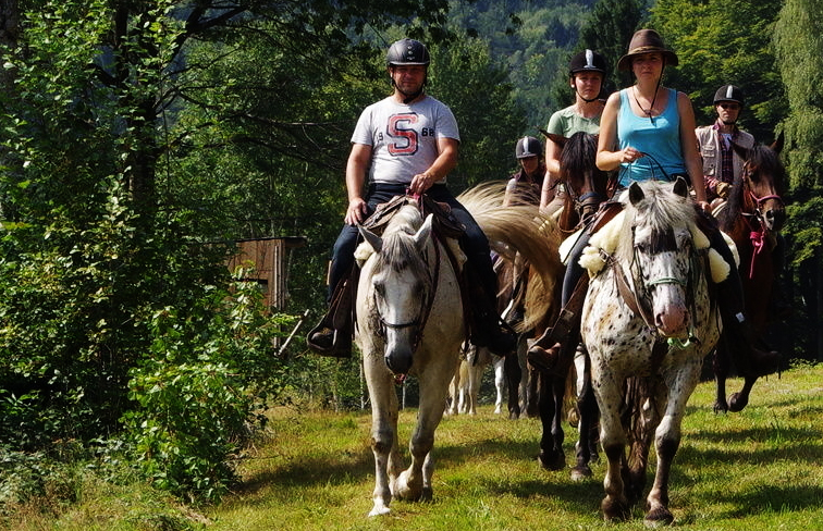 Grenzenlose Freiheit im Sattel: Wanderreiten vom Nationalpark Bayerischer Wald bis an die Donau.