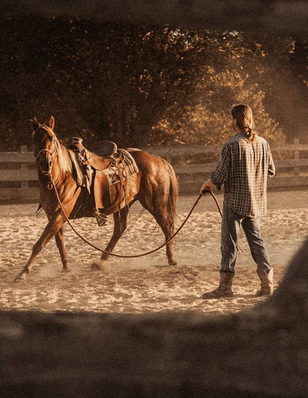 Ein Ritt durch die Zeit: Entdecke die kulturelle Vielfalt & wilde Natur beim Wanderreiten in Bayern.