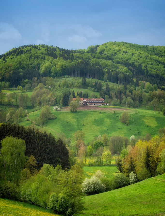 Dein Ritt durch Mitteleuropas schönste Wälder. Wanderreiten im Bayerischen Wald planen.
