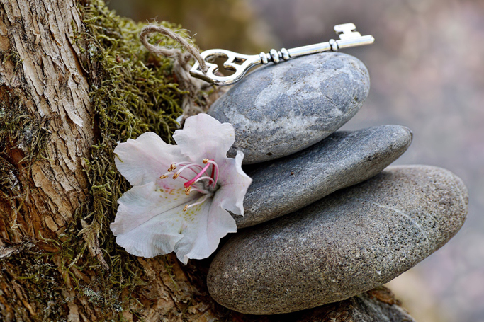 Psychotherapeutische Beratung bei Burnout Rottal-Inn. Heilpraxis in Falkenberg: Professionelle Psychotherapie für den Landkreis Rottal-Inn. Hilfe bei Ängsten & Stress bei Eleonore Mitterer. Hier mehr erfahren.