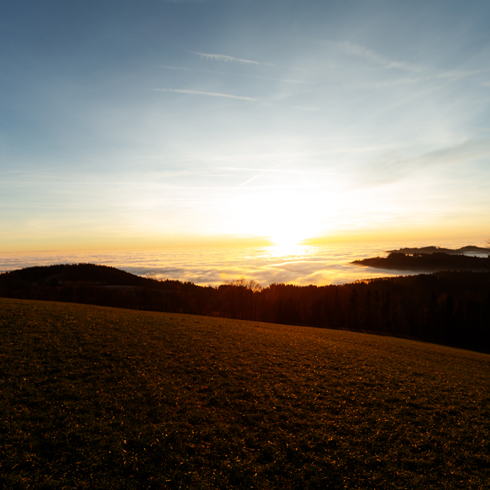 Planen Sie ein Event in Straubing? Wir bieten Full-Service für Hochzeiten, Firmenfeiern & Jubiläen. Ihre Eventprofis für Niederbayern.