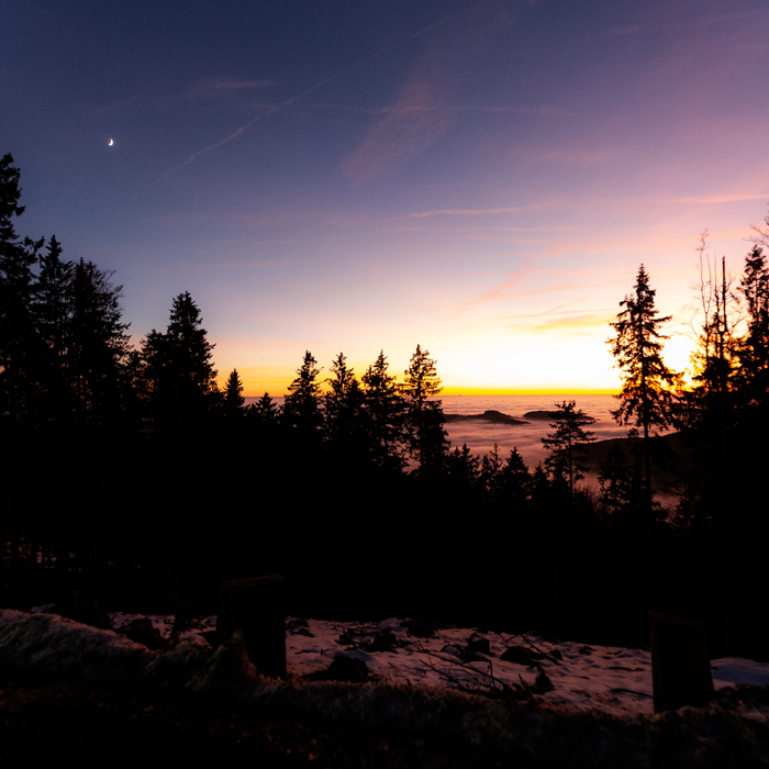 Planen Sie Ihre nächste Konferenz in Straubing? Unsere Agentur bietet Full-Service-Organisation für professionelle Business-Veranstaltungen.